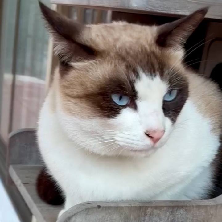 D79bf27f 6504 45fe b280 f68326cc0137 1766579504382