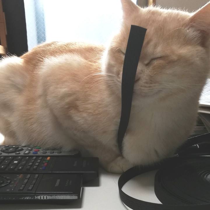 D79bf934 7e78 4078 8214 1204261091a7 1613689545866