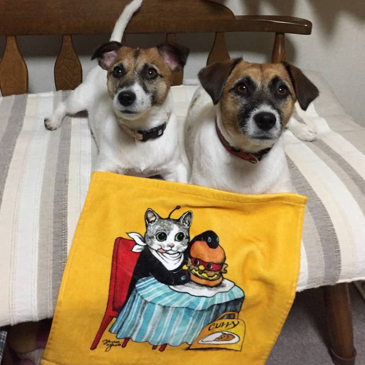 D79c1d4b 993e 4ee8 bd8c daeeed624875 1565869088469