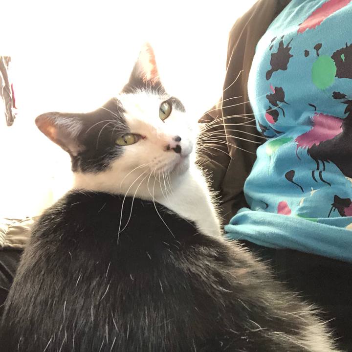 D79c219d 3bfa 4dcd bd21 8aff6cc50aa0 1578031040986