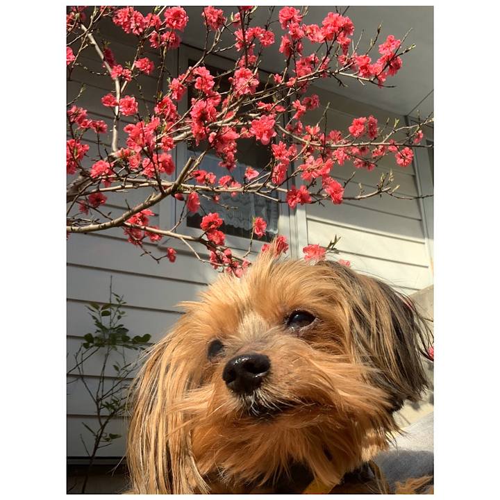 D79c21f1 656f 4c07 a119 a104e9382af9 1584769501921