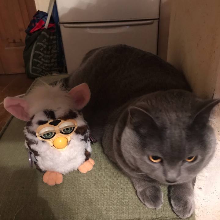 D79c3918 e75f 4015 aef3 35631cdc6b5d 1551969148072