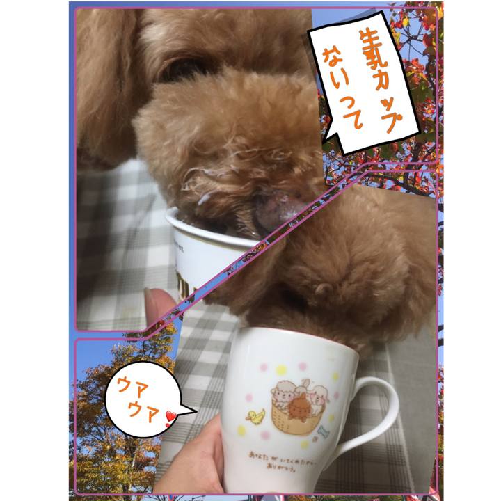 D79c45a9 0aa3 47c5 bf2c ff3f805810a4 1536448654535