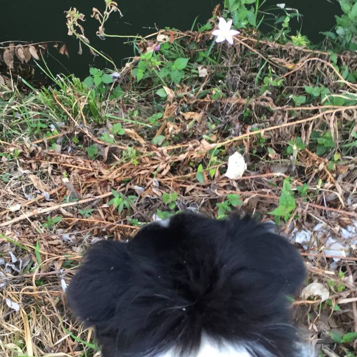 D79c853a d11c 4a2a baa4 b61f8f275096 1534978039053