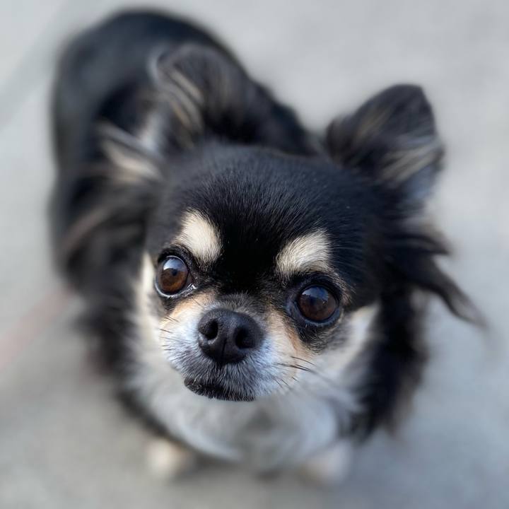 D79c85d7 f83d 44d6 892b 721e6c6053e8 1655758561158