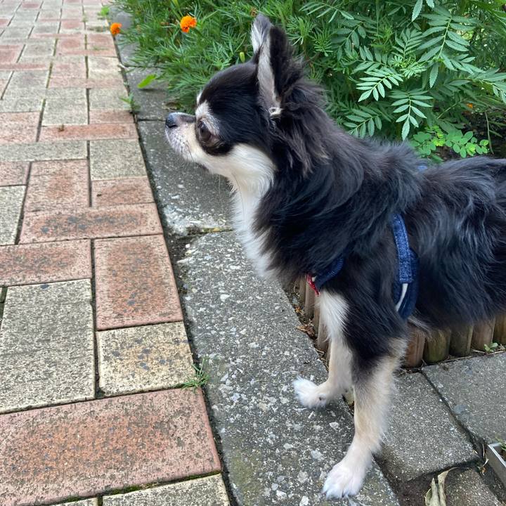 D79c9b8d 4d8d 4e52 b301 8db5ec2c992d 1628739641611