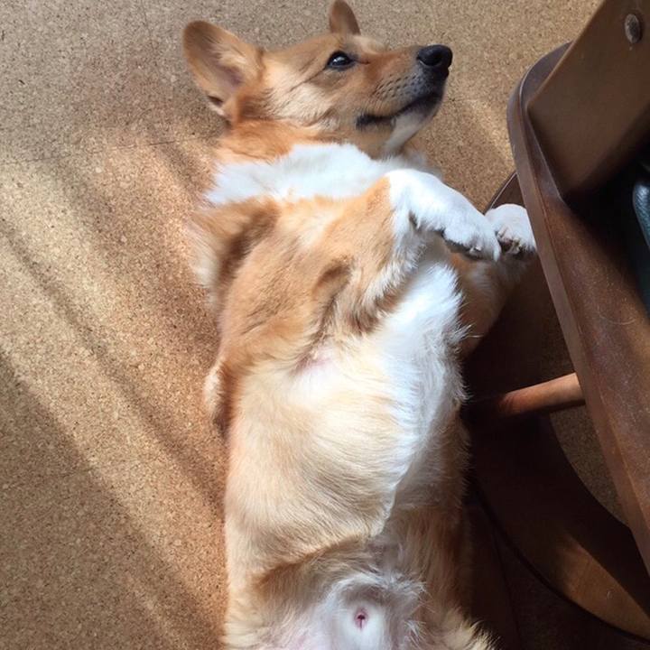 D79ca082 b314 4083 b166 d99df864fb4c 1589510203214