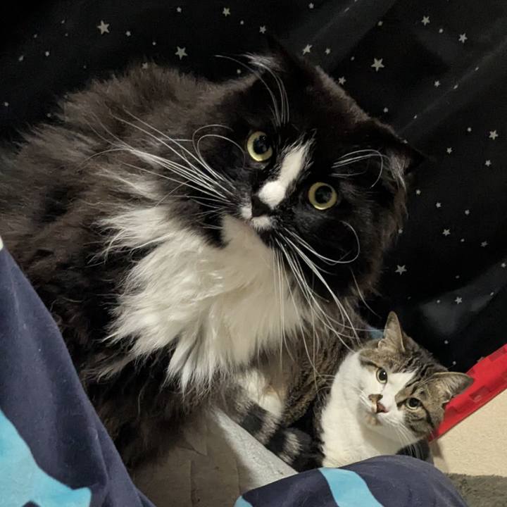 D79caca8 764b 485e 8ceb 97a1dbf01683 1746514175446