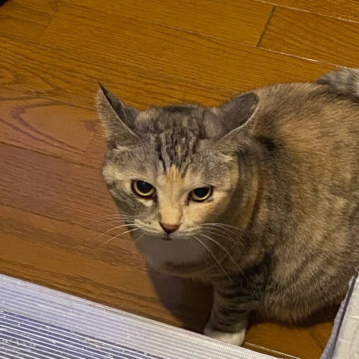 D79caed3 31bc 47dd bdb6 3aa318425fc8 1667084384404