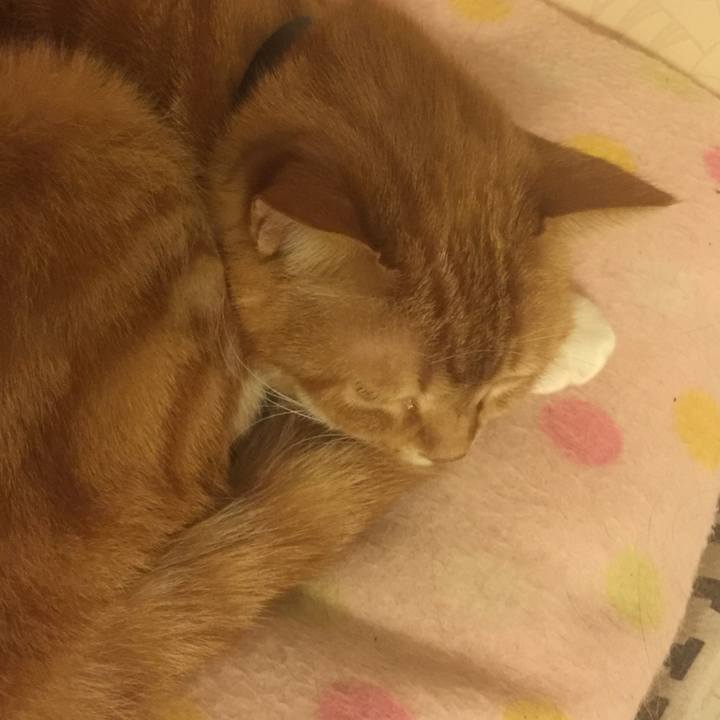 D79cd0a0 d5eb 418f b8a6 80c8400afe9b 1553010161673