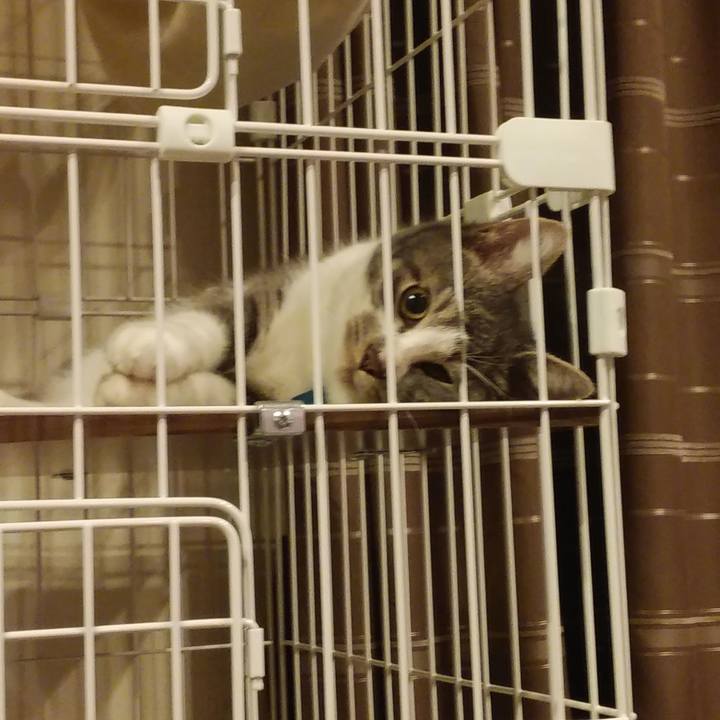 D79cd7c1 1cc2 4c78 bc1c 96a0a38db05c 1571664195127