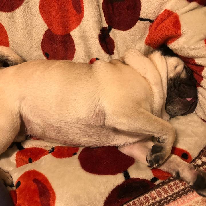 D79d33e7 8483 47d2 9590 b7209a1e9f40 1518526212405