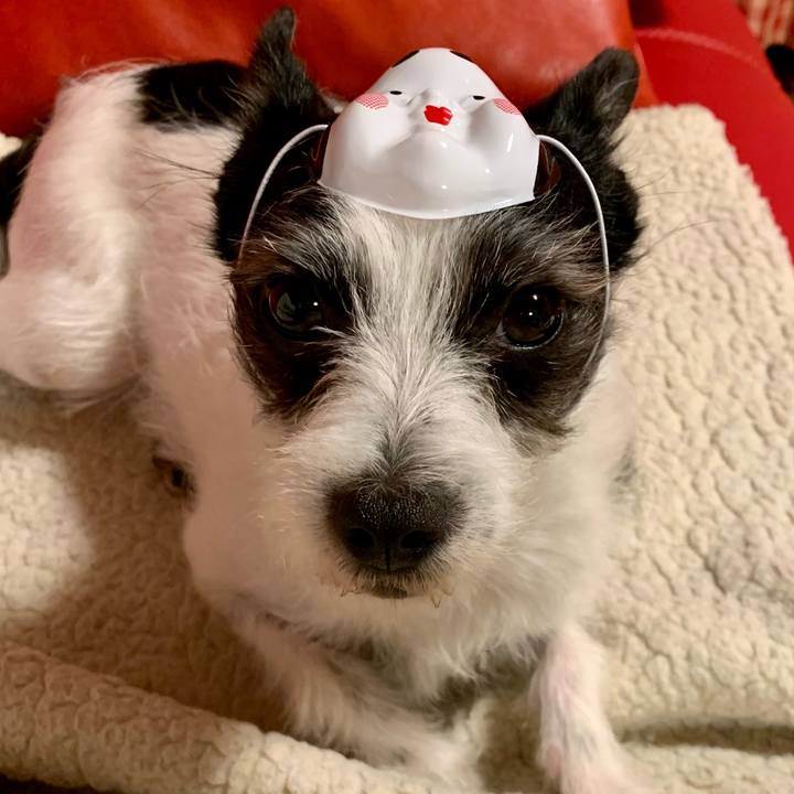 D79d3533 b64f 4b5d a9be 801dd6e85462 1612266355790