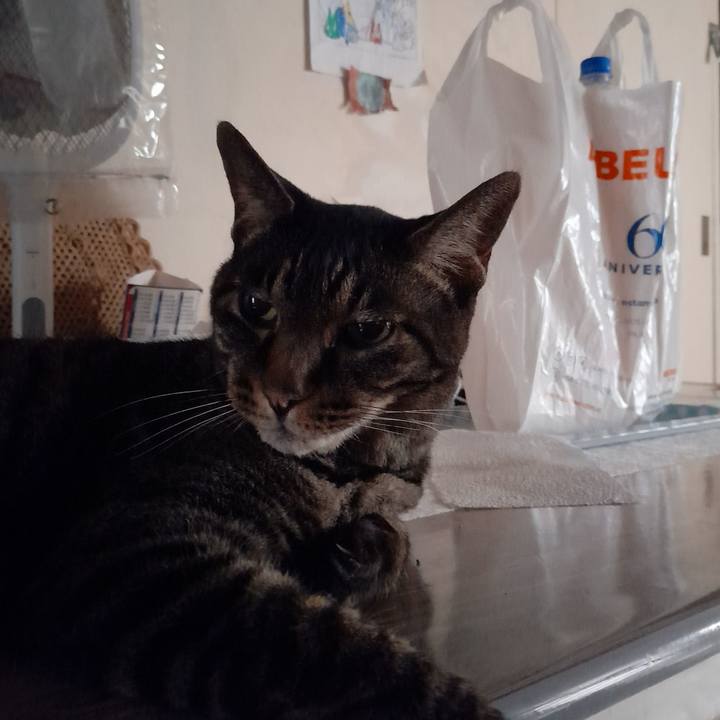 D79d5639 0dee 46c5 9fe9 9ac1f16108fd 1766711354115