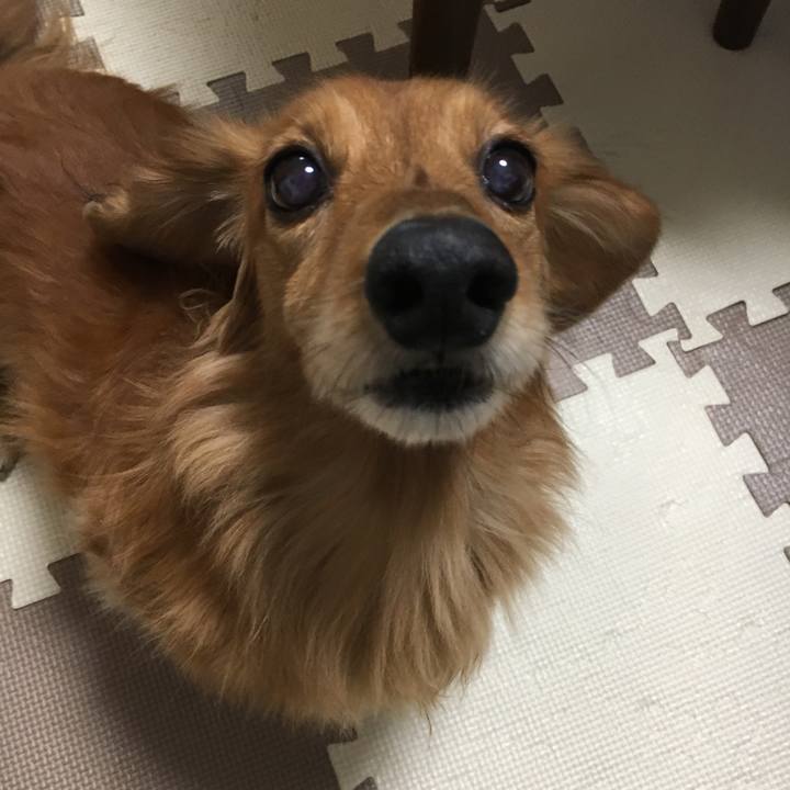 D79d5cff b221 4eca 9c7d 9798454a97fe 1518614694105