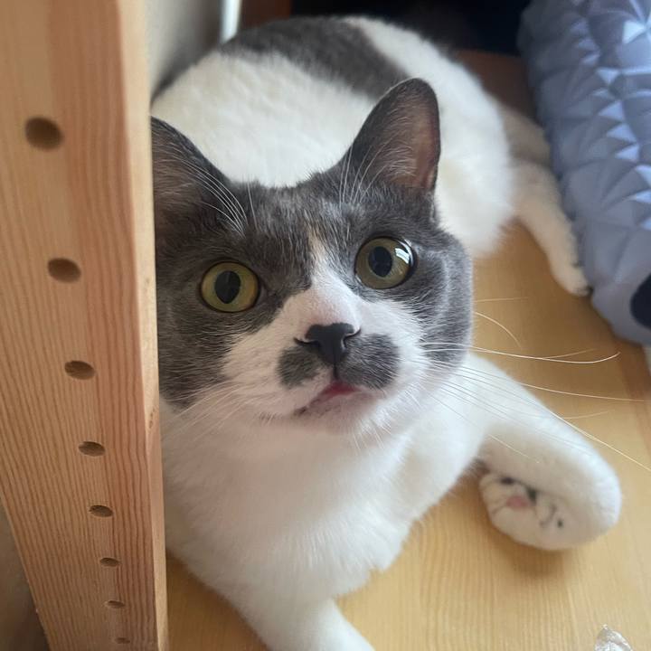 D79dae1d 5ec3 43d5 8e0a 030d1dd667a3 1752190037270