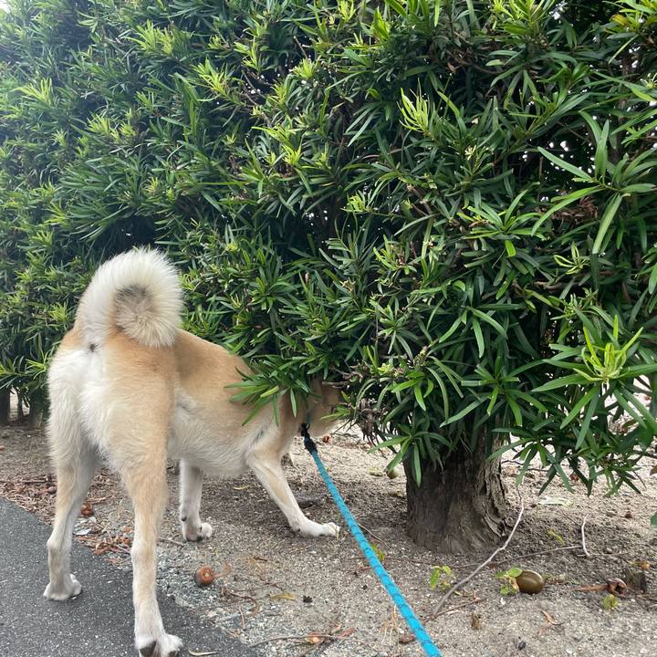 D79e3fe5 9bb4 4cb0 b284 891e230b8e36 1692276060794