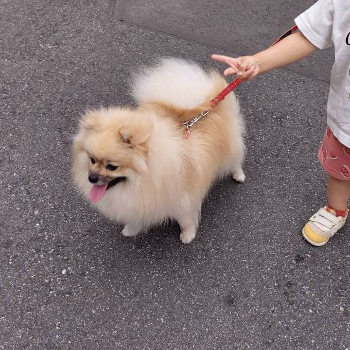 D79e825d 2ca2 40ed aeeb b5ba6eeab4d9 1655613631433