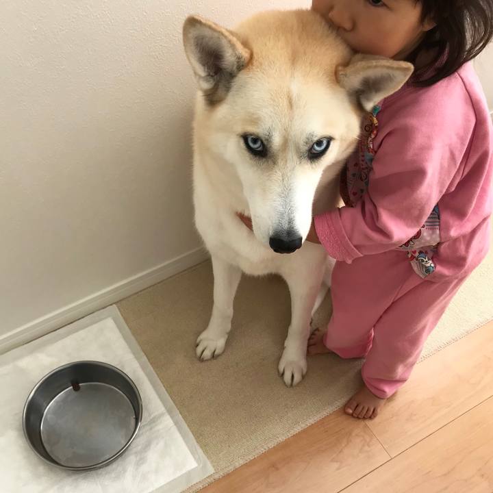 D79ec63a 2fee 49d6 baff 77eb25a8caa5 1547857813267