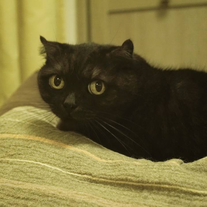 D79ecbd8 14fc 428b 8915 057d6091ad08 1539180036555