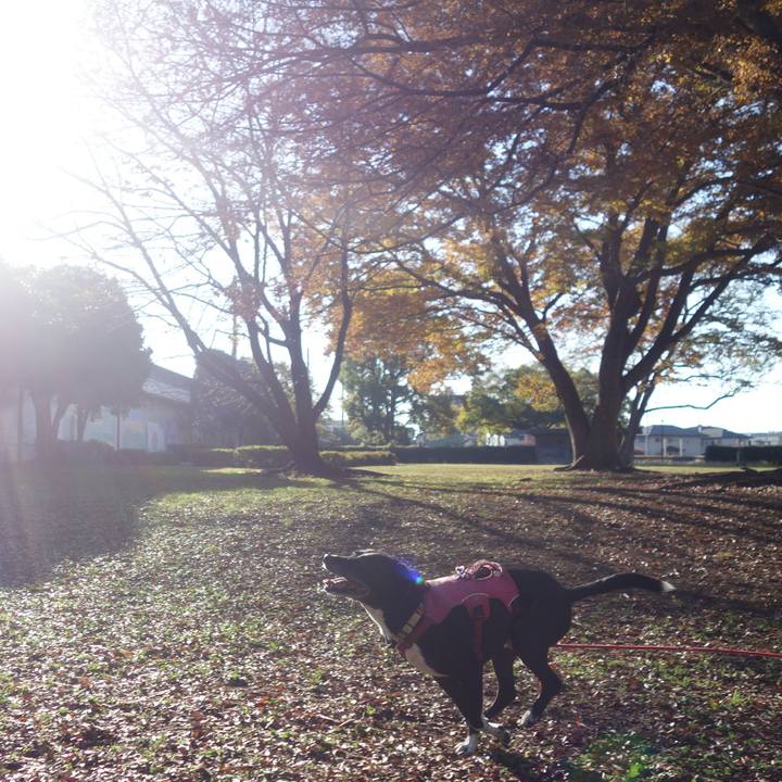 D79ed141 adf6 43e8 a003 c89b3d0352eb 1700786928630