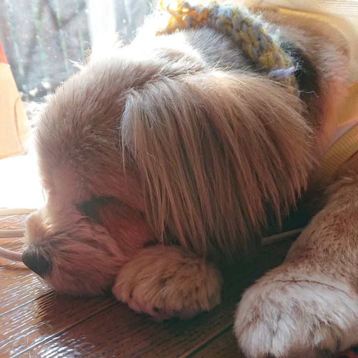 D79ed7c7 4507 499e 84cf 4e7ddcbca81b 1609809950816