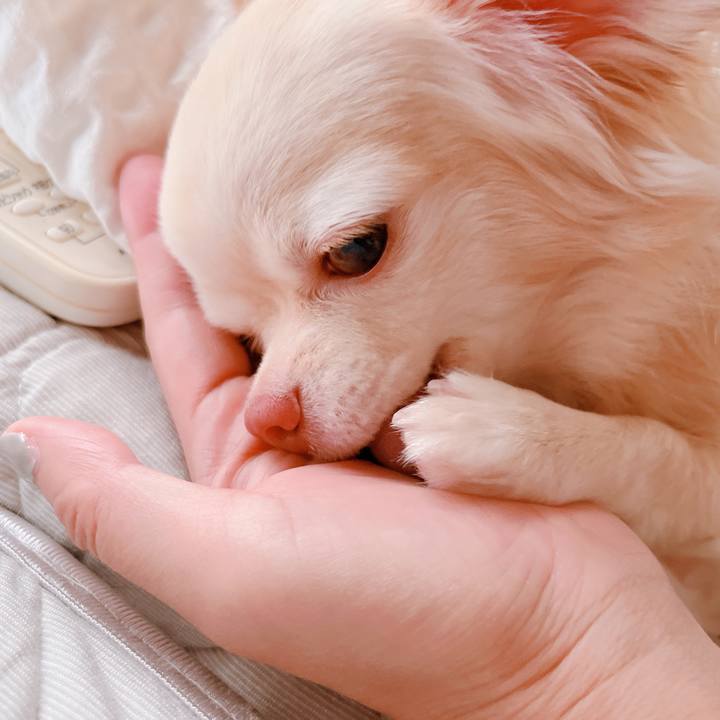 D79f7c32 6ca4 42b3 b956 0225185e3951 1659064284267