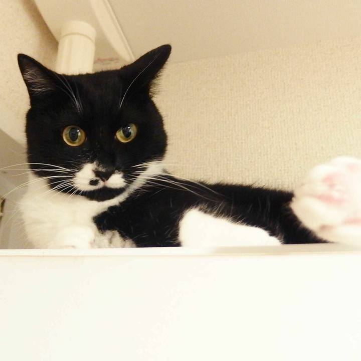 D79fd0ad 8190 4e14 881c 9493cbd20c24 1529584706439