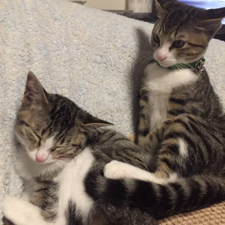 D7a03f6d ff6a 4090 8fc5 6daa7f7fd52f 1661385369458