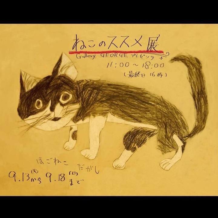 D7a04c8a 7ce4 448c b856 ae895d6c3f1b 1662894656657