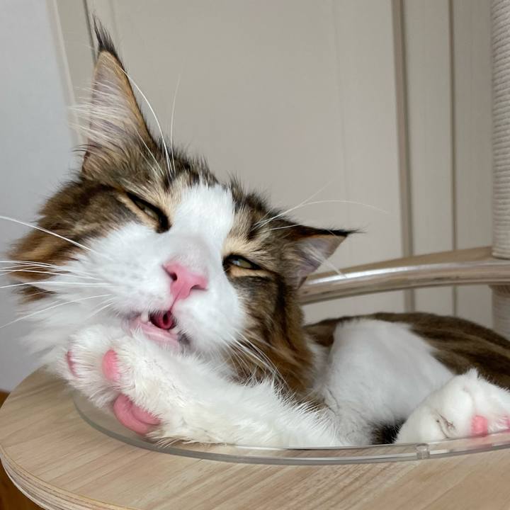 D7a06444 0859 4d6d 94d1 e77a376f35f5 1659829252478