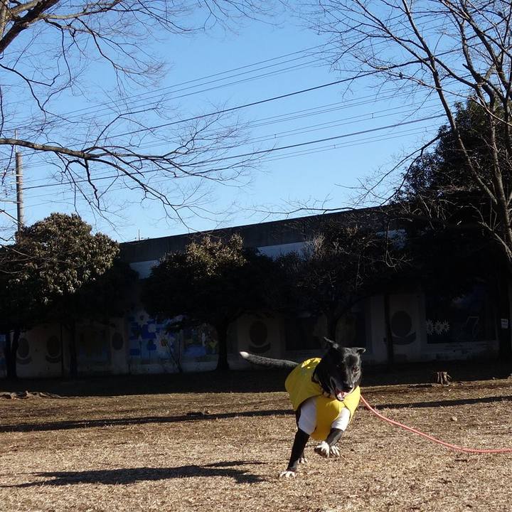 D7a095f0 db14 49e8 8ff0 350ffc028254 1738889177817