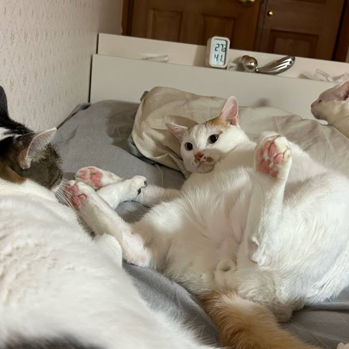 D7a0af8a a79e 4a76 994c 604c7311decd 1671917682361