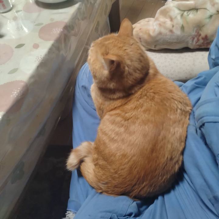 D7a11541 9e24 4160 8459 92d5ca9996c1 1681290554655