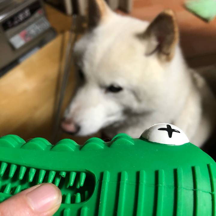 D7a1195e 010b 4960 9b75 26c4ae0a856c 1610184213588