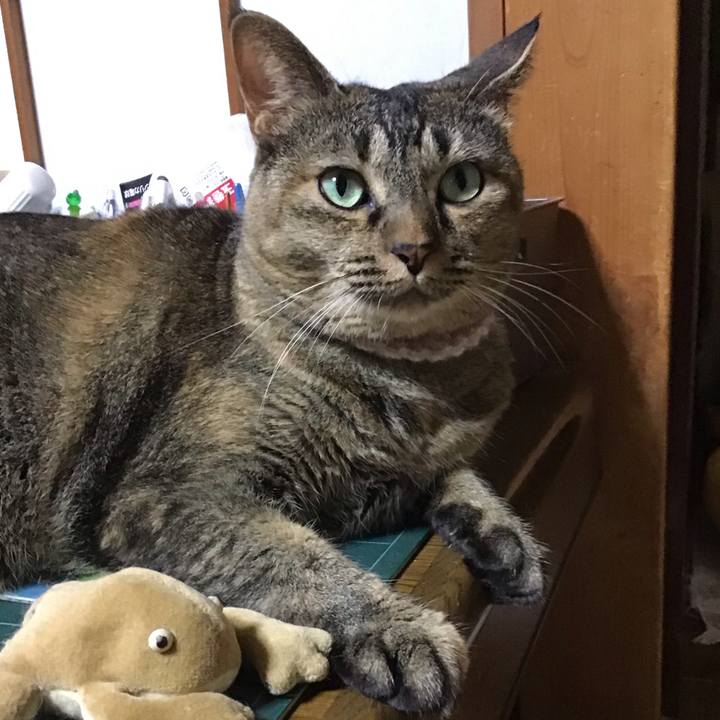 D7a22047 4420 41ac b832 66ebc2b09bff 1695731902574