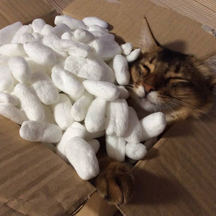 D7a289b1 d069 4d8f a0aa 0547197fdca1 1564390831714