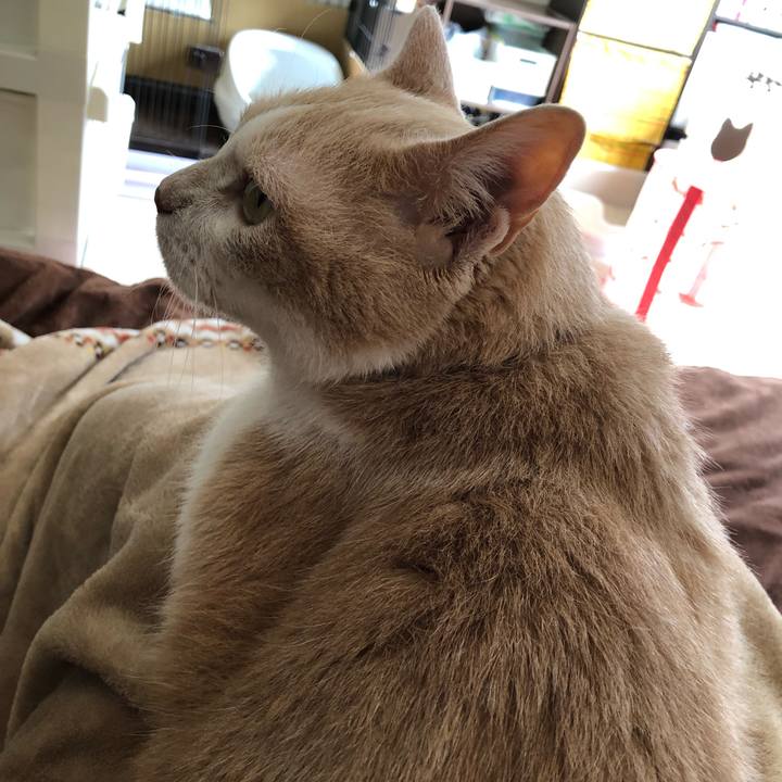 D7a2a0a4 594d 41f7 b0e5 930fd33fcf0b 1624156058690