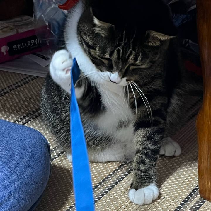 D7a2ff59 a7be 4d4d 91bf 9e8848fb1905 1759101745216