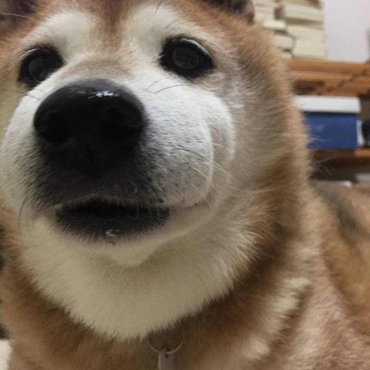 D7a304b8 4261 42ca 97dc f57ac11bea4f 1535887600644