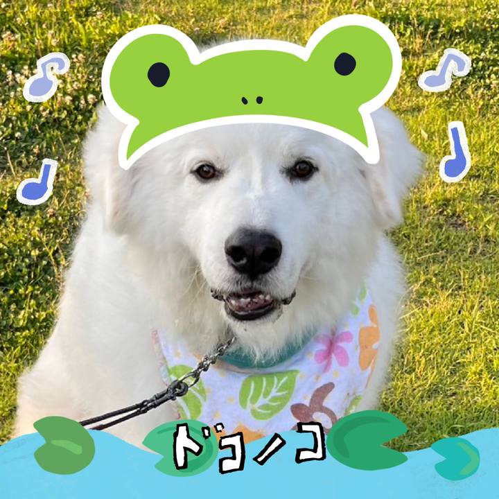 D7a39c15 2a58 42a7 b35a 247ca2b0abf7 1717629086529