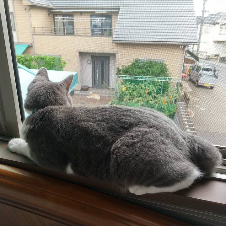 D7a3c6eb c776 4b92 8ab5 e0ab0479f2ce 1625959641141