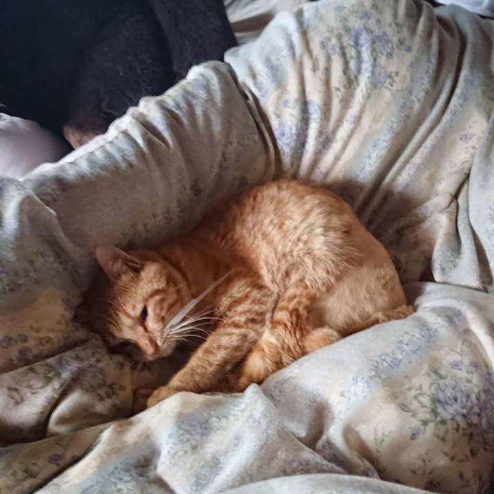 D7a408dd e755 4b3b ab9e 52dfc68003f1 1655937874961