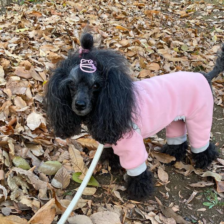 D7a44018 fb7d 46a7 9865 063f6ad8065e 1702812021833