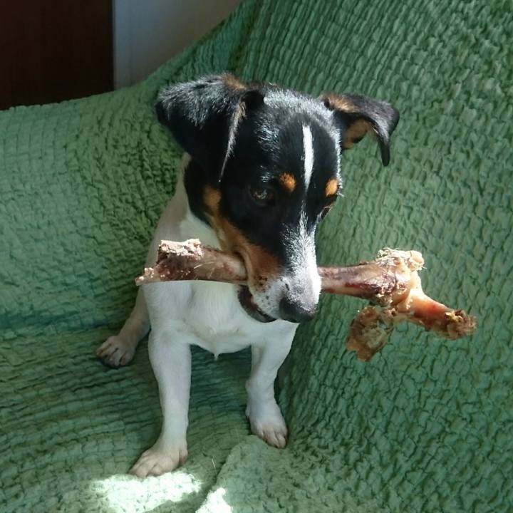 D7a486b5 c1ba 4e2b a017 af863431f7d0 1534464314962