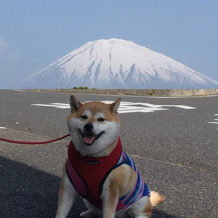 D7a49ecf 18a9 47ab 99ec 5b221af8316a 1620516780009