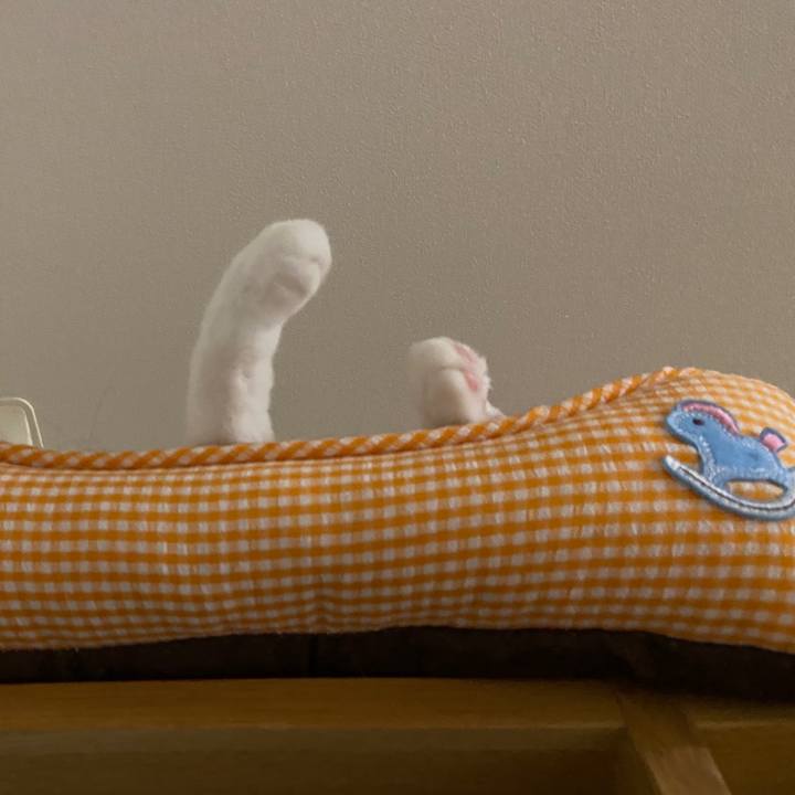 D7a4cab2 3ce5 4d6b b824 60009fc654ac 1656692568871