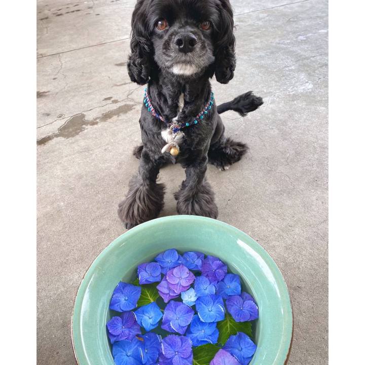 D7a4cc55 590f 449e 8923 46bac27898fc 1623989054835