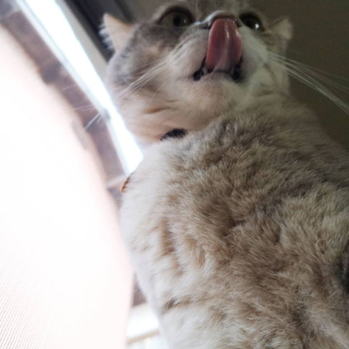 D7a4ce7e 9214 4d4e 86d9 6107b463cd85 1578542892903