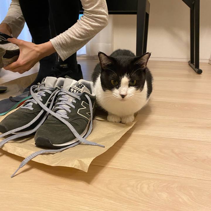 D7a4e451 94ec 448a 8998 9142f3a18d19 1731158024818